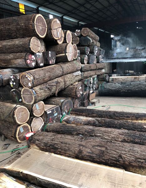 Dongguan Lingfeng Wood Industry Co., Ltd.