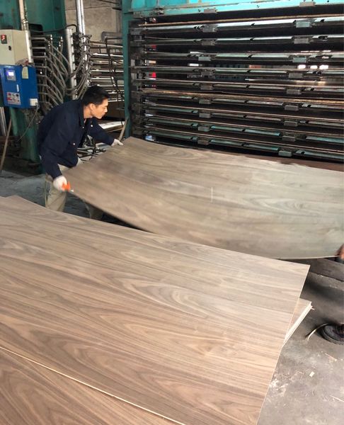 Dongguan Lingfeng Wood Industry Co., Ltd.