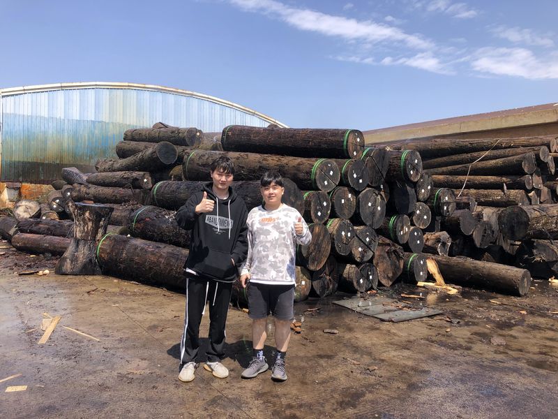 Dongguan Lingfeng Wood Industry Co., Ltd. 製造者の生産ライン