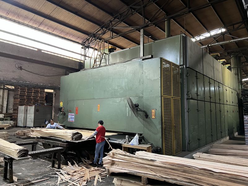 Dongguan Lingfeng Wood Industry Co., Ltd. 製造者の生産ライン