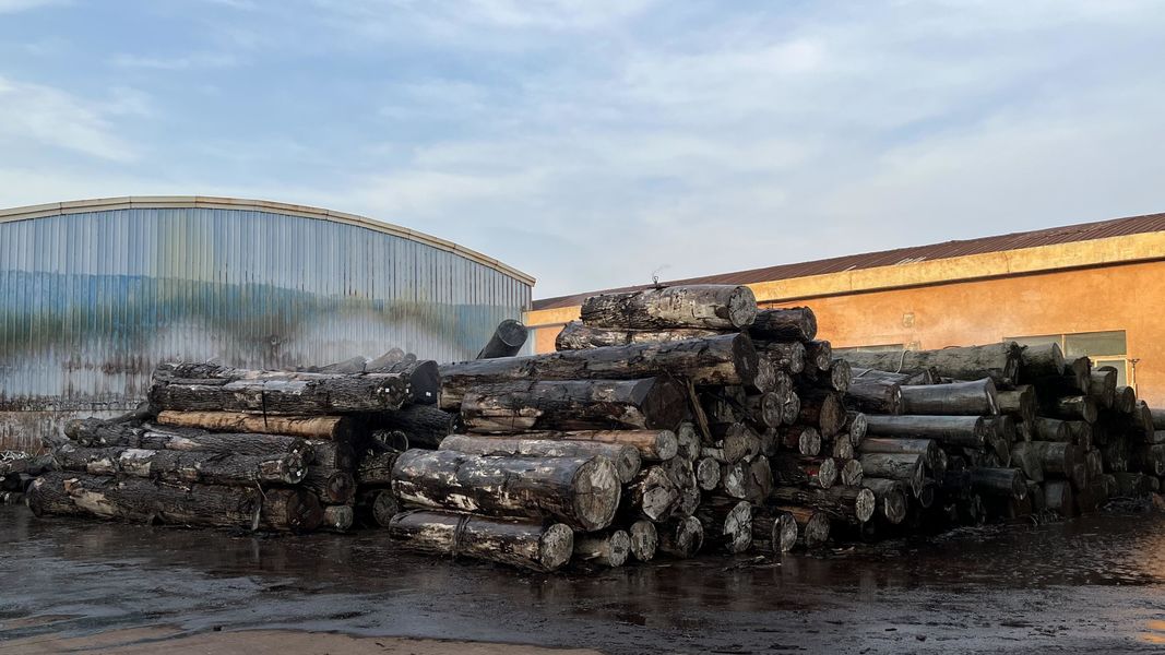 Dongguan Lingfeng Wood Industry Co., Ltd. 製造者の生産ライン