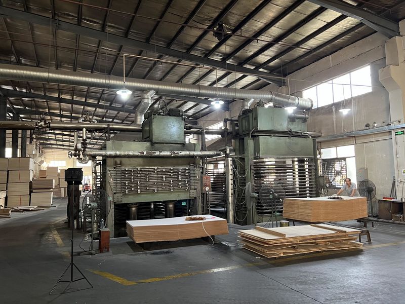 Dongguan Lingfeng Wood Industry Co., Ltd. 製造者の生産ライン