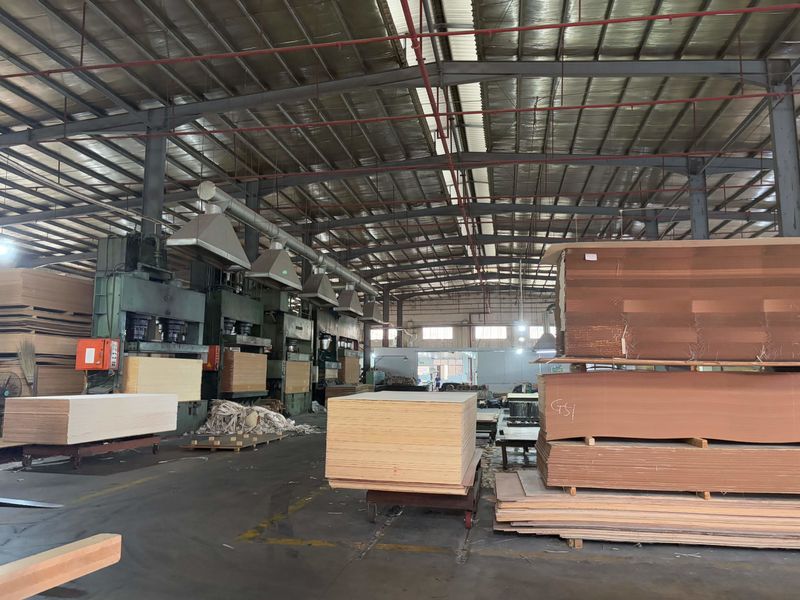 Dongguan Lingfeng Wood Industry Co., Ltd. 製造者の生産ライン