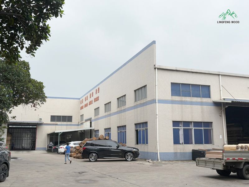 Dongguan Lingfeng Wood Industry Co., Ltd. 製造者の生産ライン
