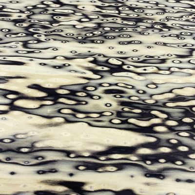 耐久性のあるポプラ加工ドア用木製ベニヤ自然色